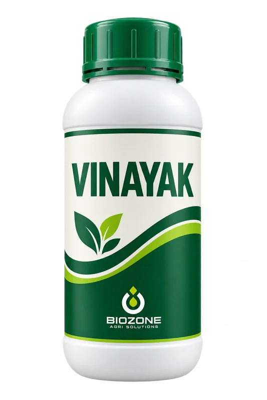 Vinayak — illustrative pack, not actual packaging